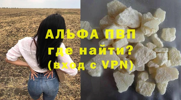 стаф Зеленокумск