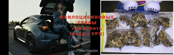 эйфоретик Зеленодольск