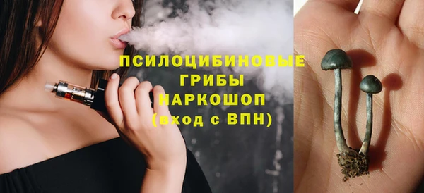 ПСИЛОЦИБИНОВЫЕ ГРИБЫ Иннополис