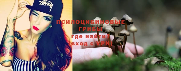 трава Инсар