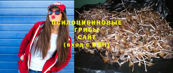 эйфоретик Зеленодольск