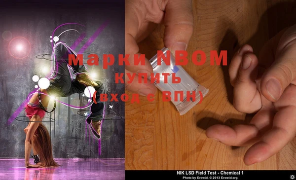 ECSTASY Инта