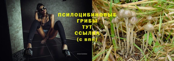 винт Зерноград