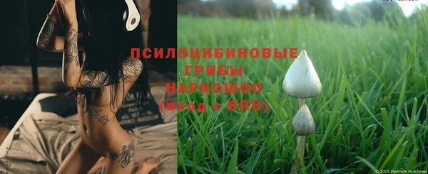 стаф Зеленокумск